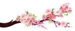 梅花唯美矢量