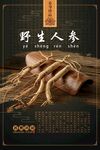 秘制中药人参中医海报