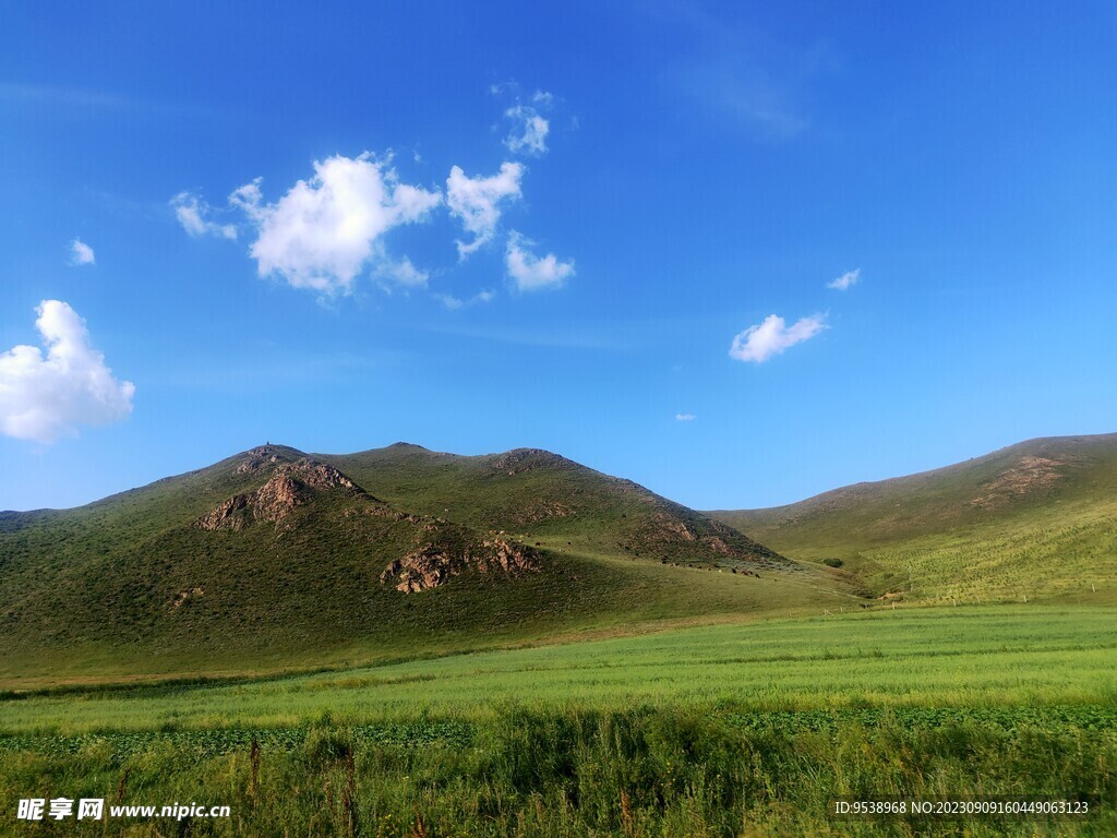 草原风景