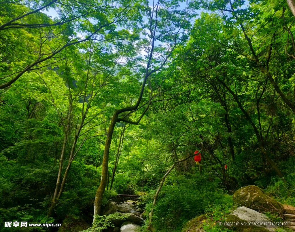 山里的景色