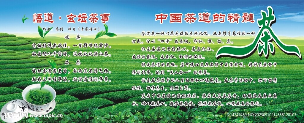 茶叶海报
