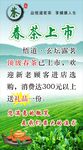 茶叶海报