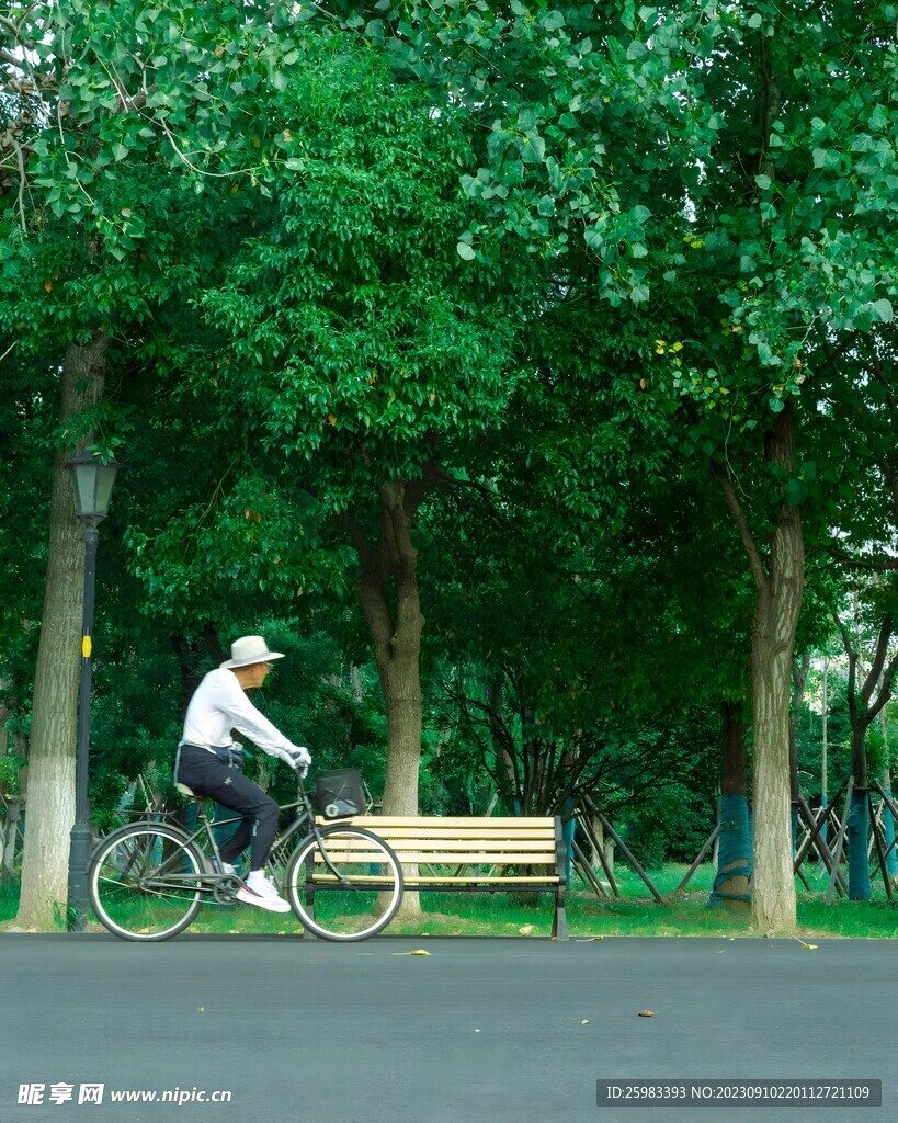 骑车的人