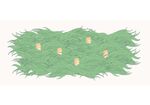 草插画