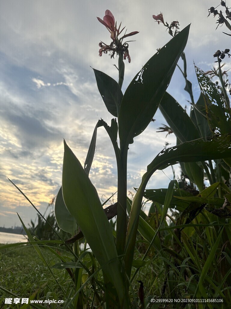晚霞