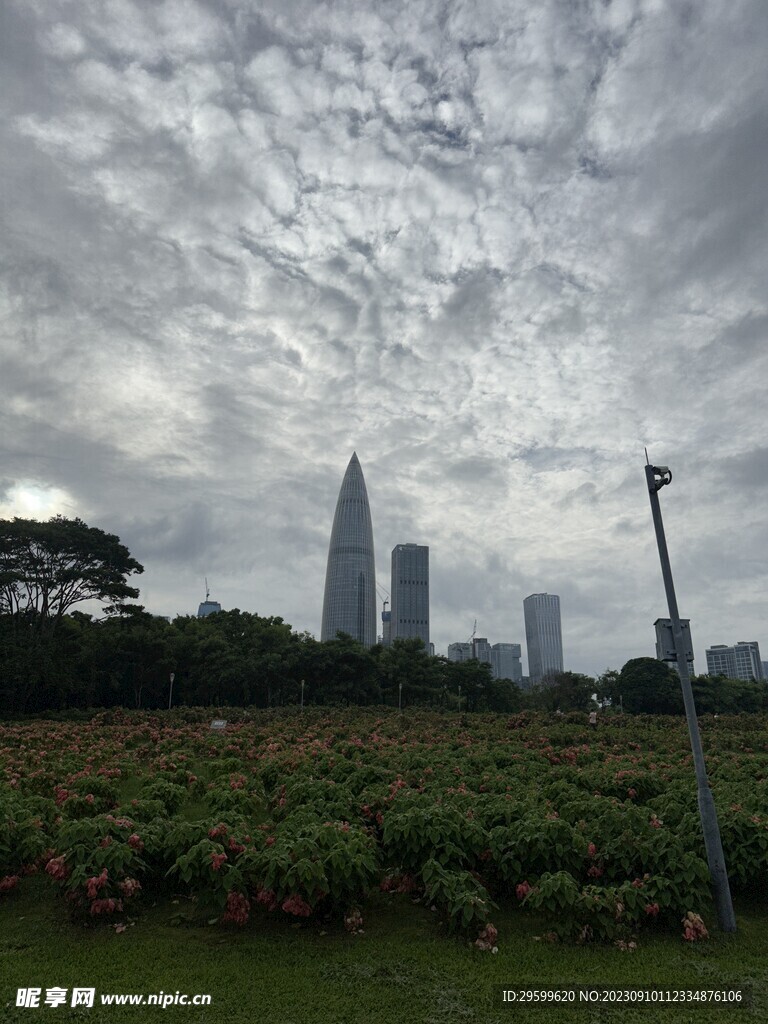 深圳