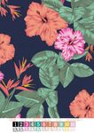 花朵 叶子