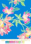 叶子花