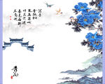 牡丹花
