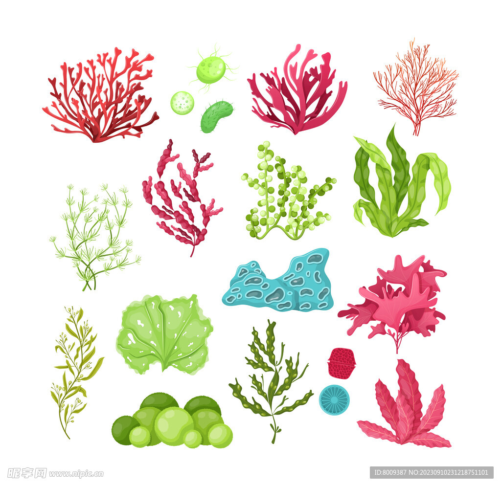 海洋生物珊瑚海草元素
