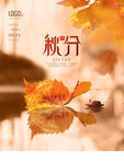 秋分海报