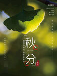 秋分海报