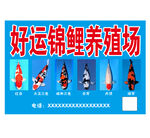 锦鲤