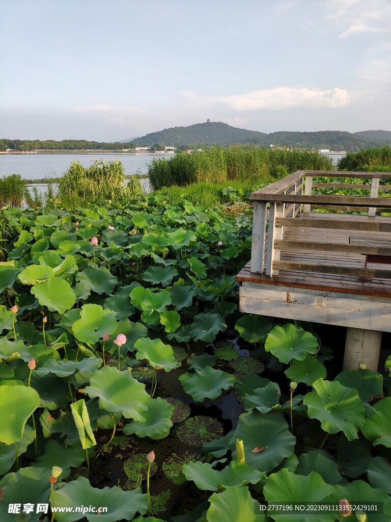 管社山庄