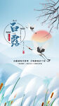 白露