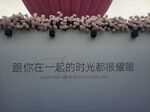 假玫瑰花 
