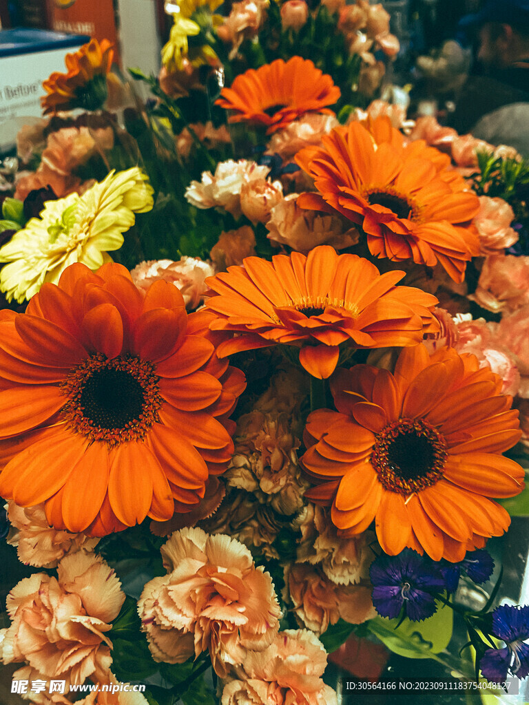 菊花