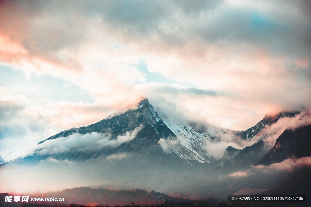 高山白云