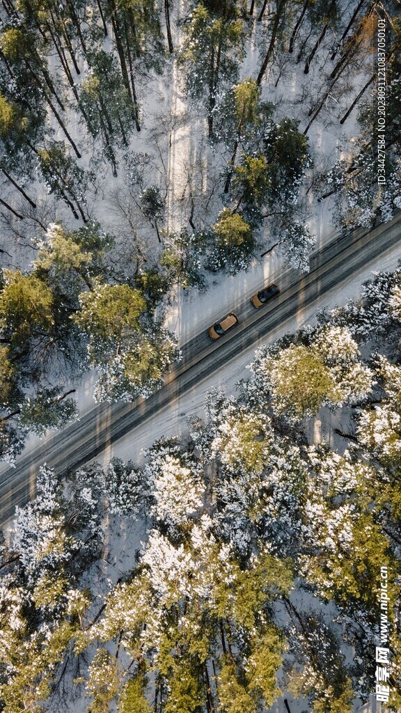 航拍冬季树林中的公路