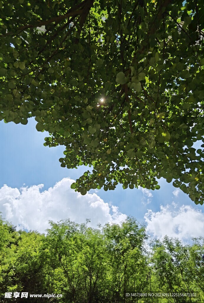 自然天空