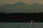 山区