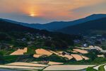 田野