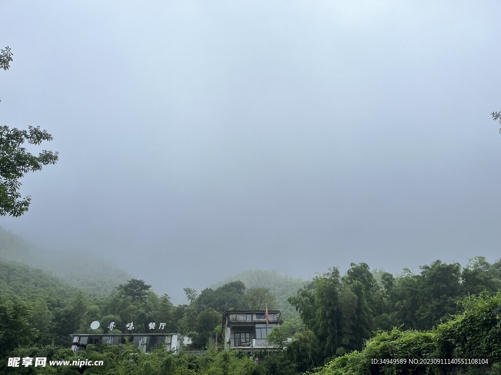 空山新雨后