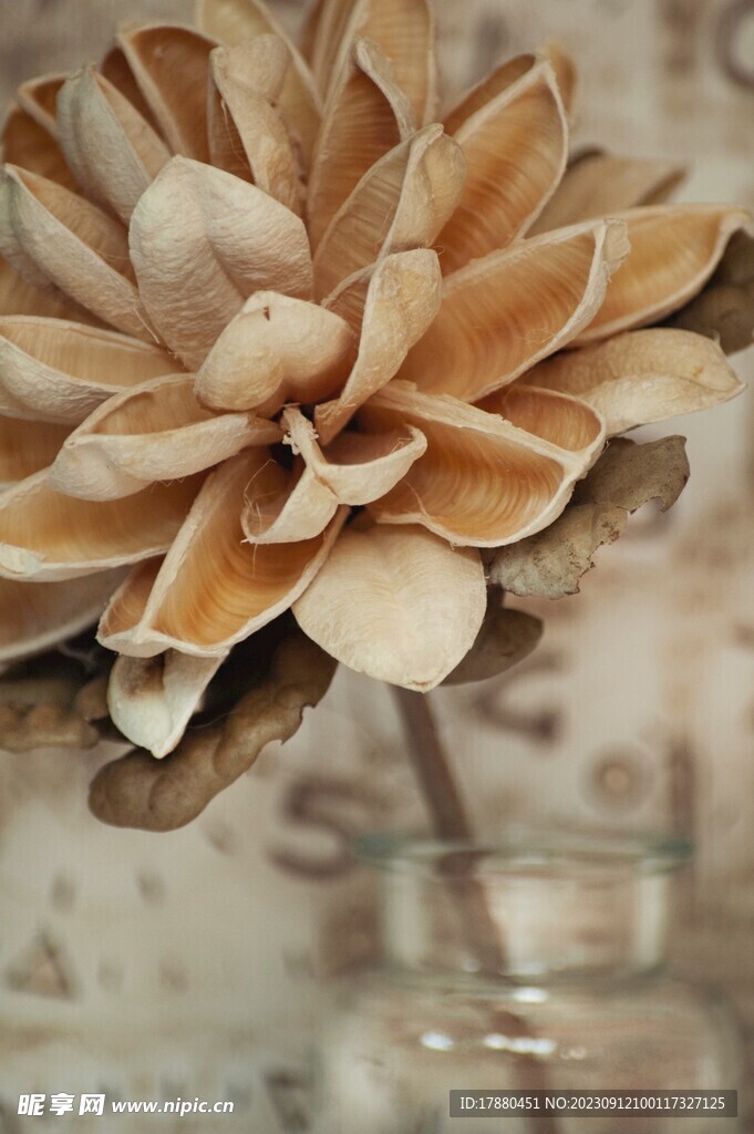 装饰花