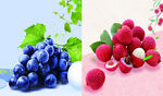 蓝莓荔枝水果图片