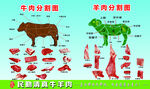 清真牛羊肉分割图