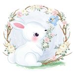 兔子