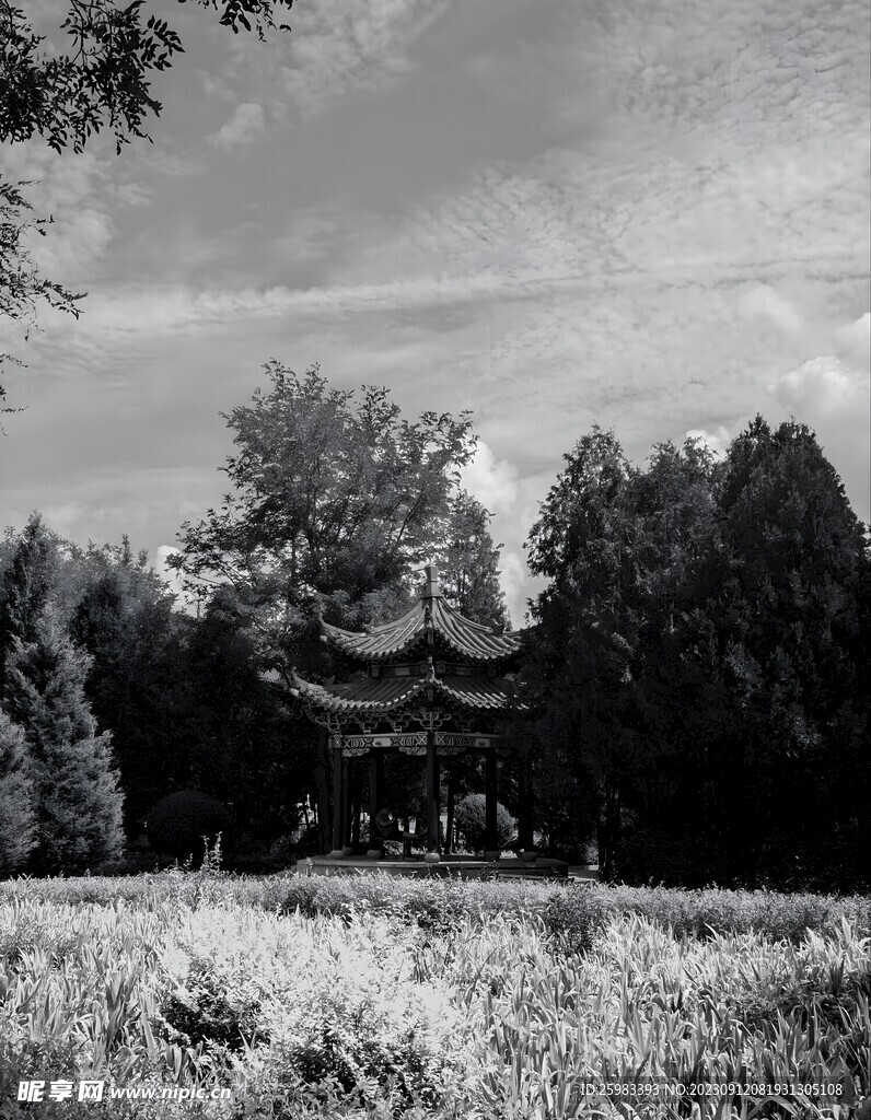 公园中的亭子