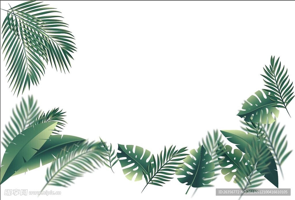 植物手绘