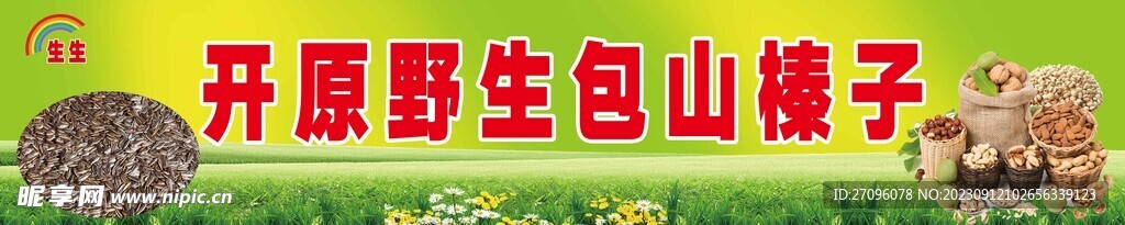 野生榛子