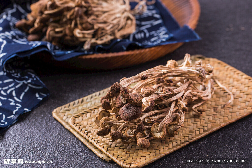            茶树菇 