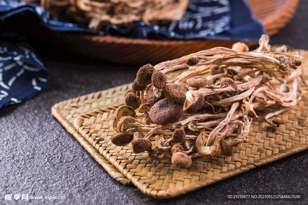            茶树菇 