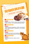 宠物科普海报