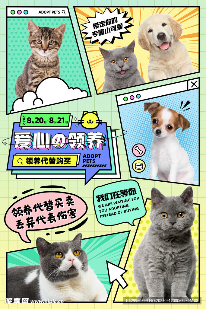 宠物海报拼图