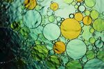 水分子