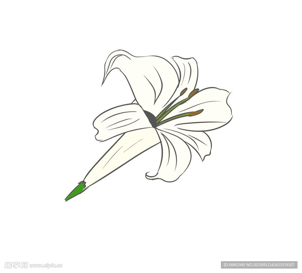 百合