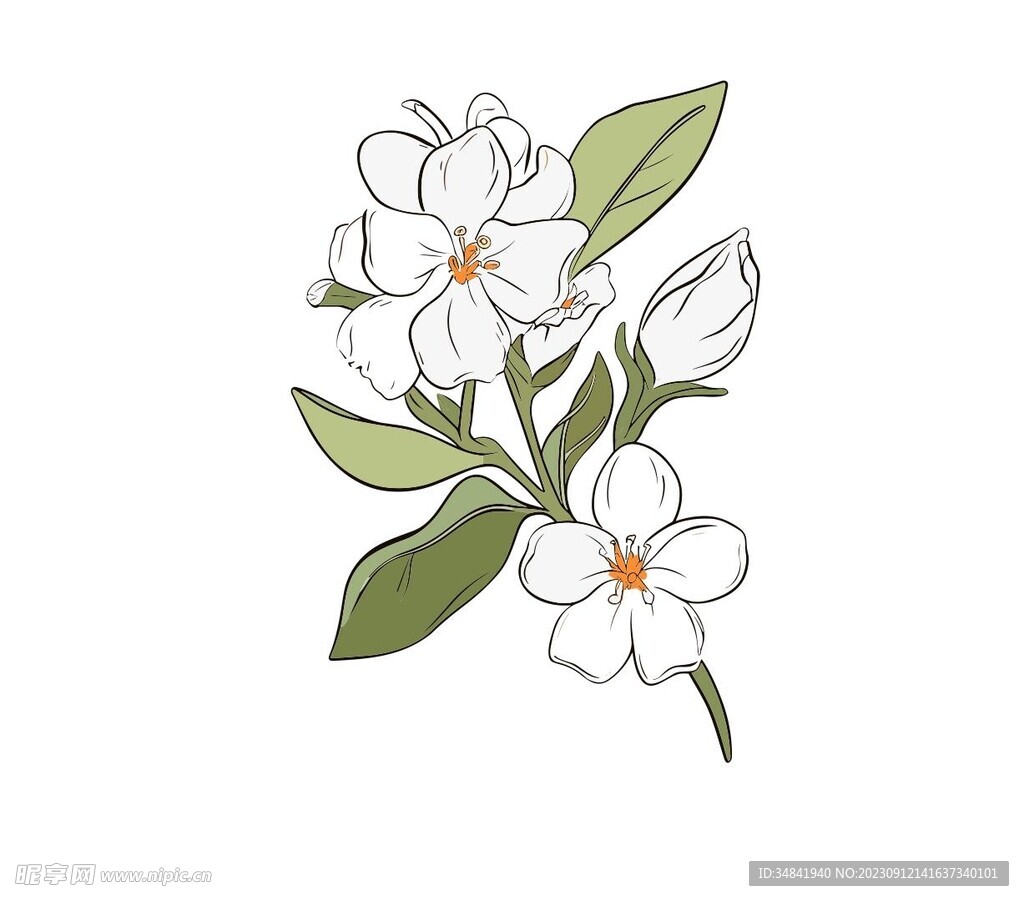 栀子花
