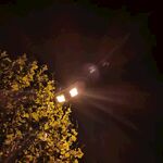 夜空