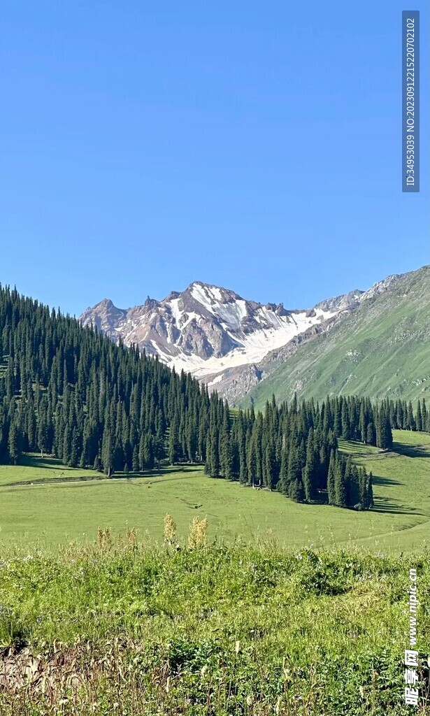 远处是雪山