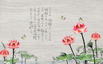 荷花背景