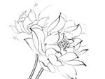 莲花线描