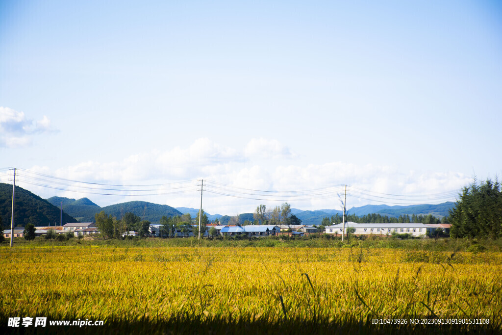 田园山村风景图片