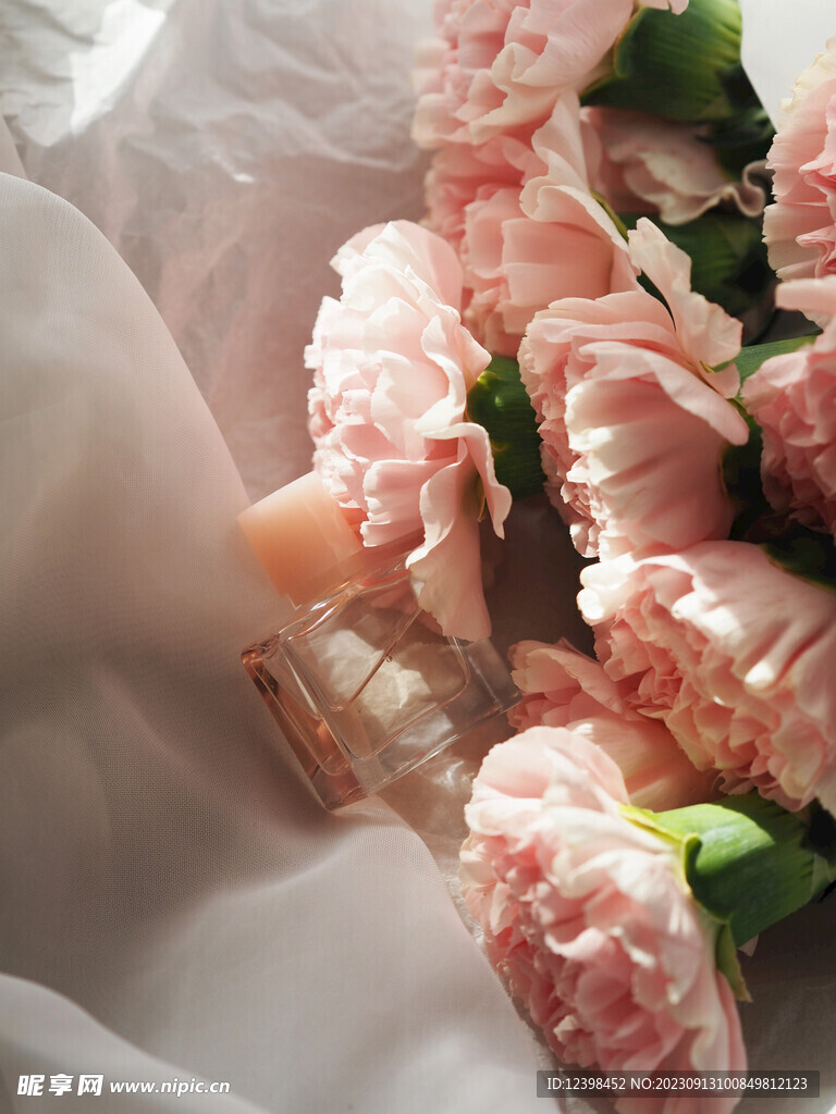 康乃馨鲜花