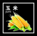 玉米