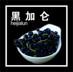黑加仑