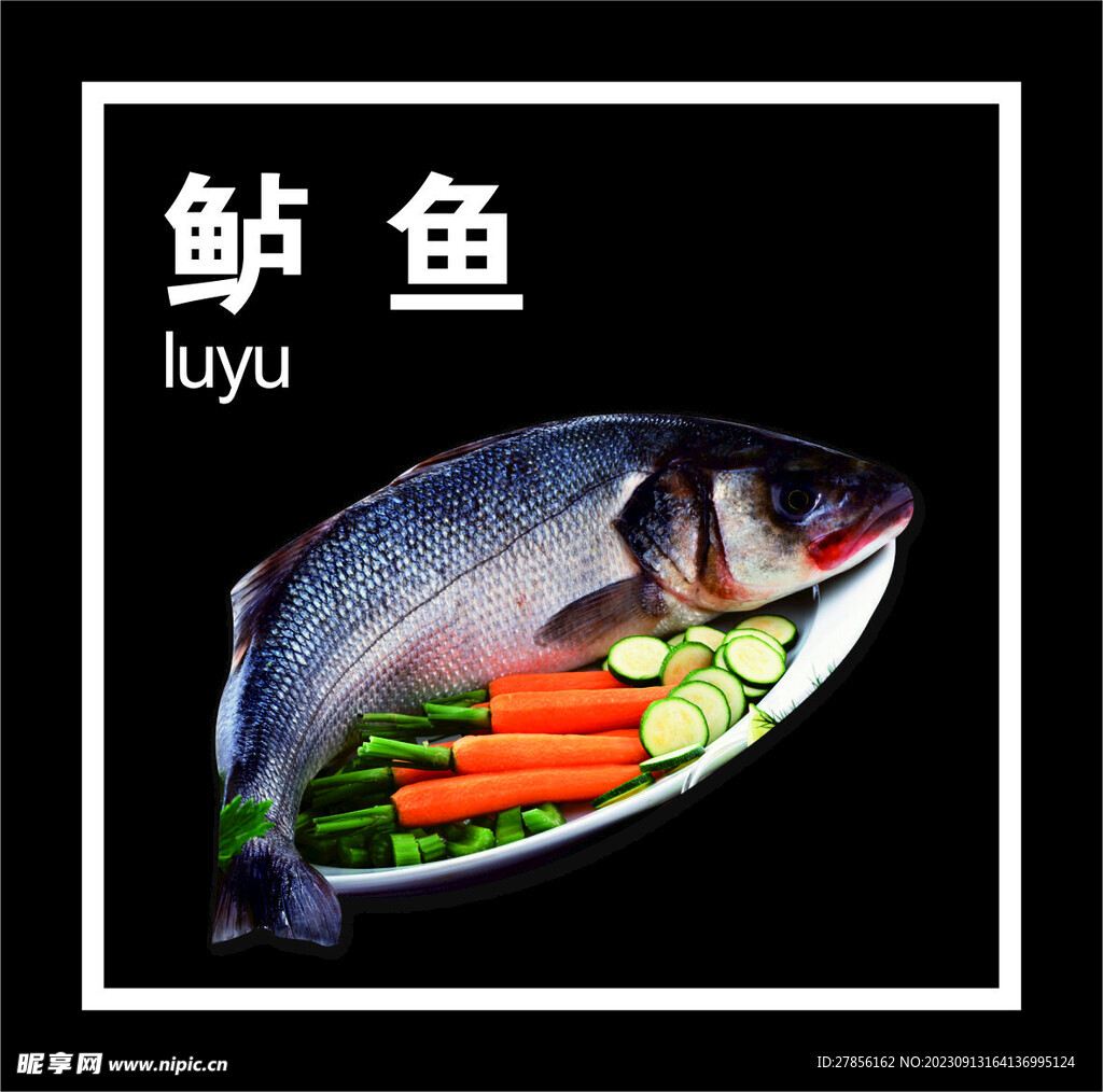 鲈鱼